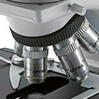 Microscopio trinocular B-353A OPTIKA