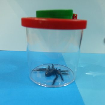 Visor de Insectos 2x-3.5x