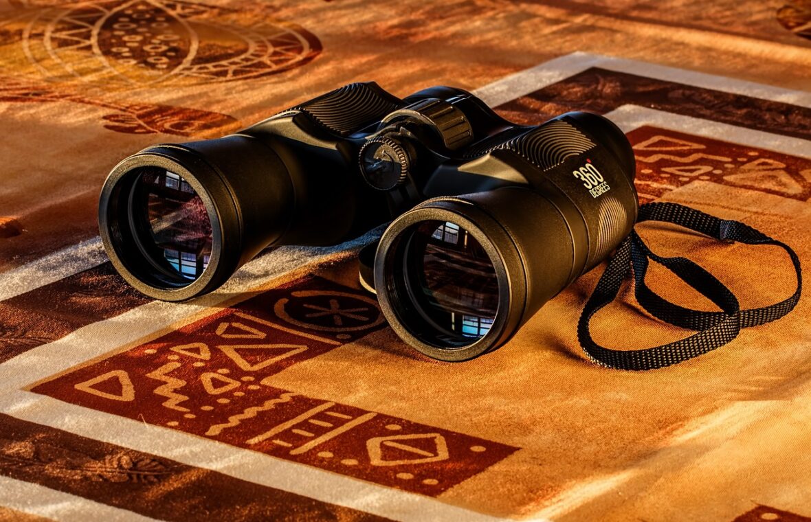 Guía Completa de Compra de Prismáticos